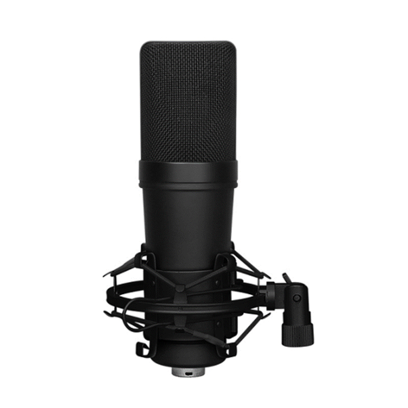 U300R| Capacitive professional choir microphone